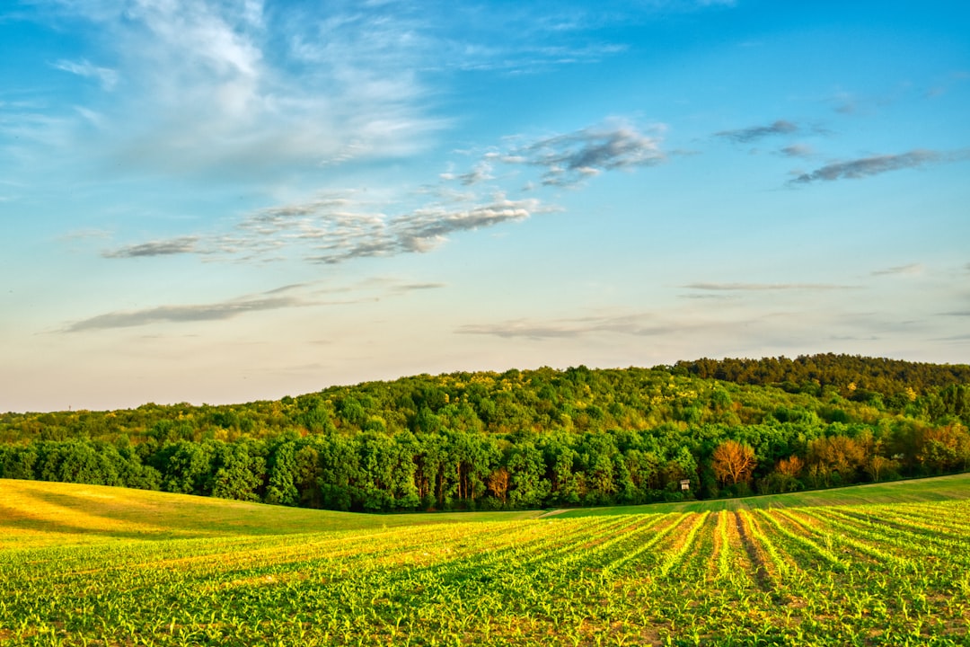 Impact of location on land value