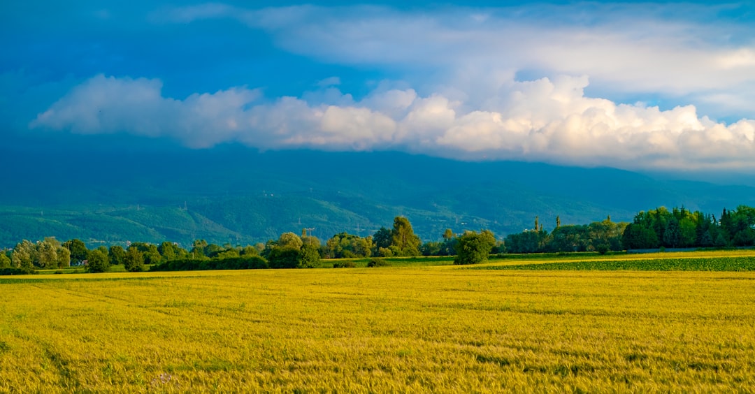 Vacant land purchase