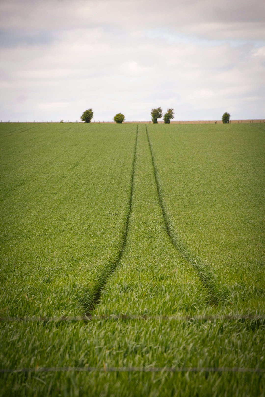 Photographing Your Land for Online Customers