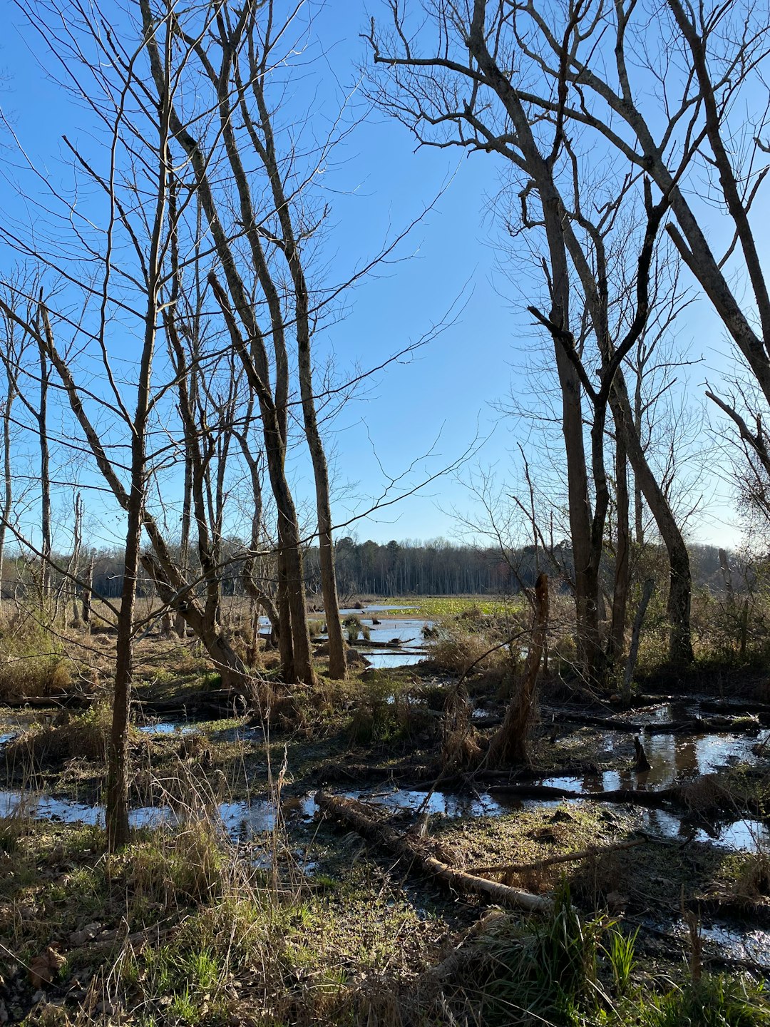 Preparing Your Land for a Cash Sale