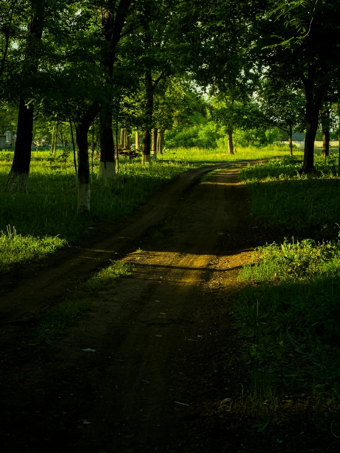 Market patterns in offering Kentucky land