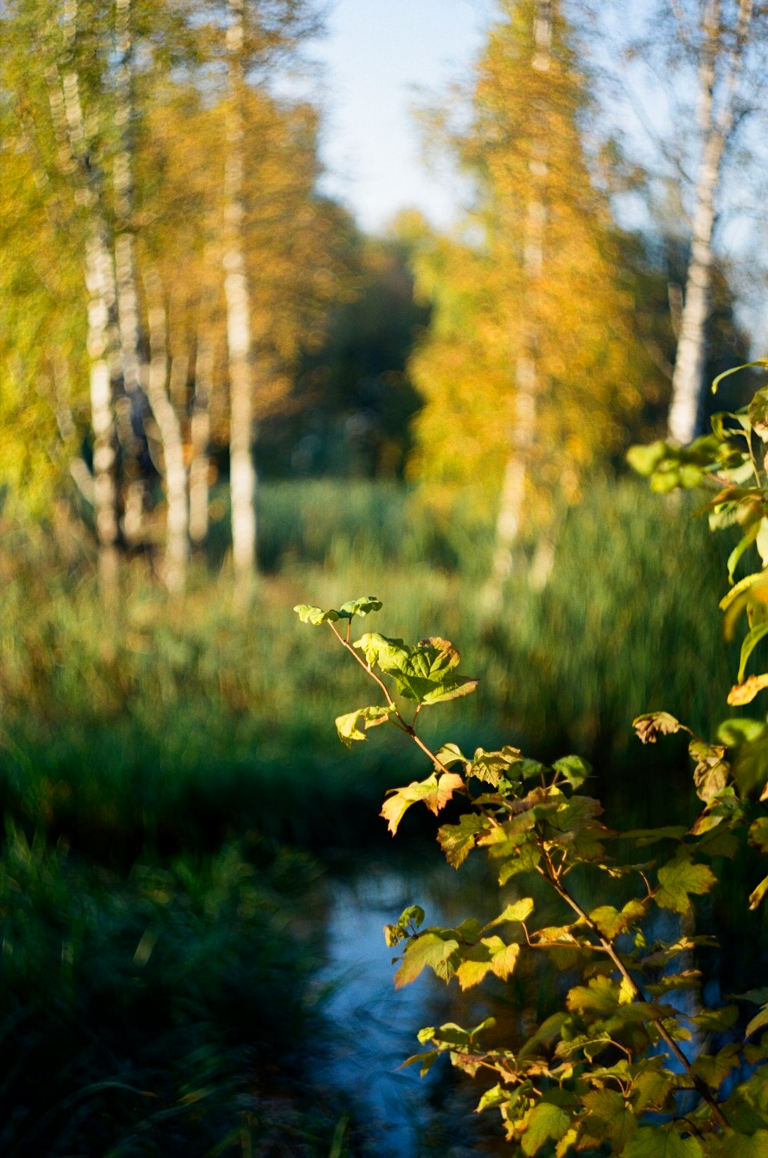 How to Quickly Transform Your Oklahoma Land into Cash Today