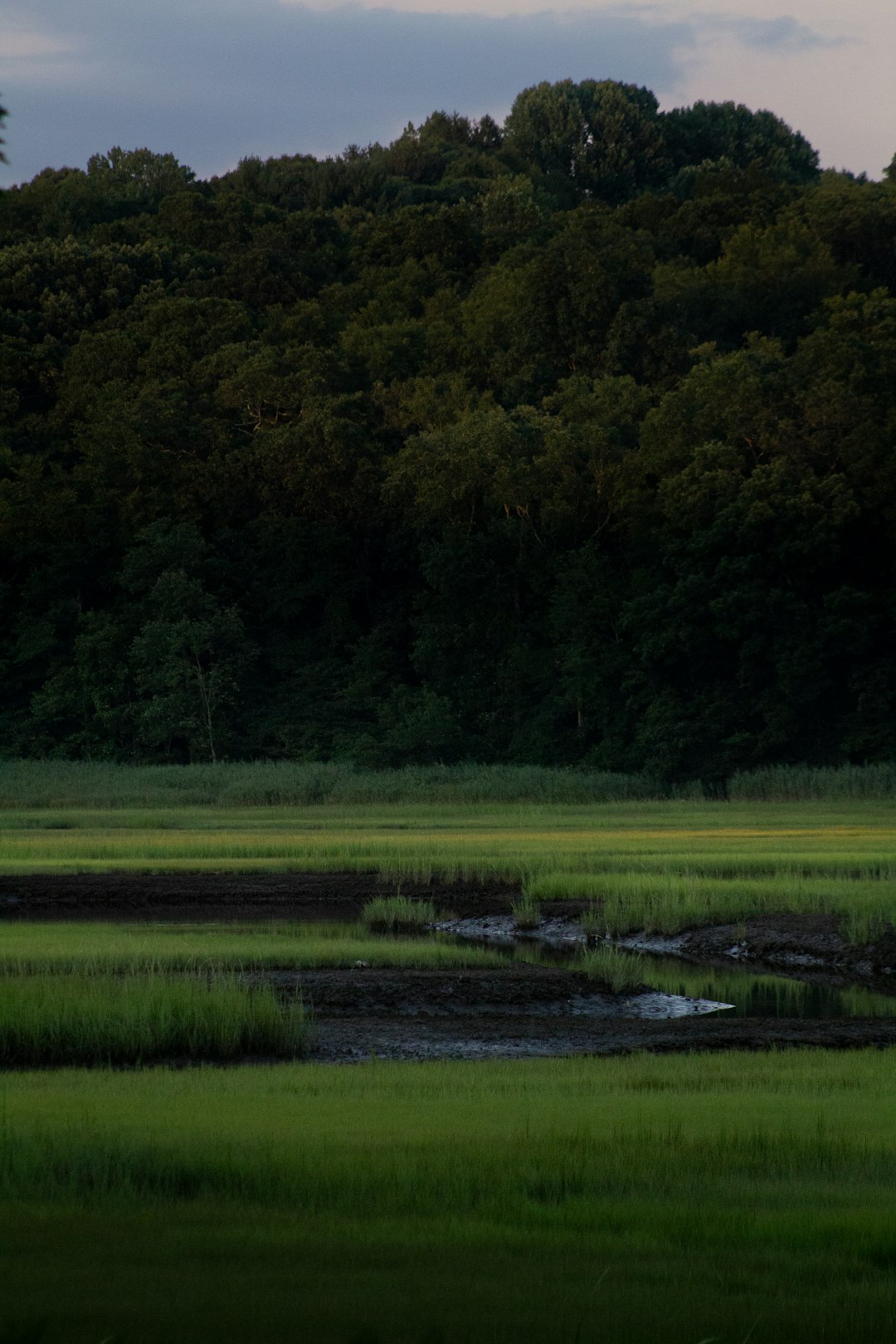 How to sell North Carolina land quickly for cash