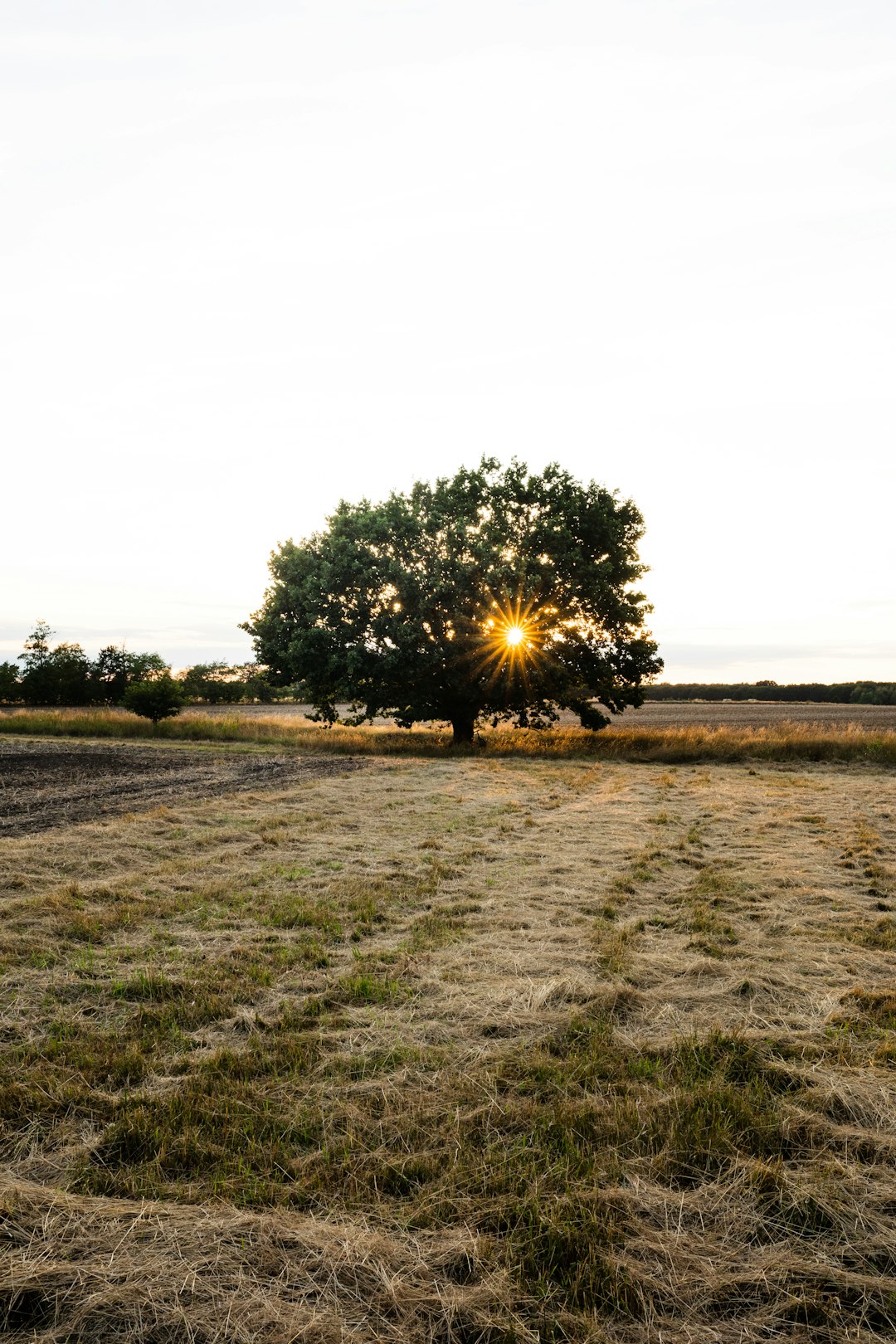 How to Find the Right Buyer for Your Georgia Land Sale