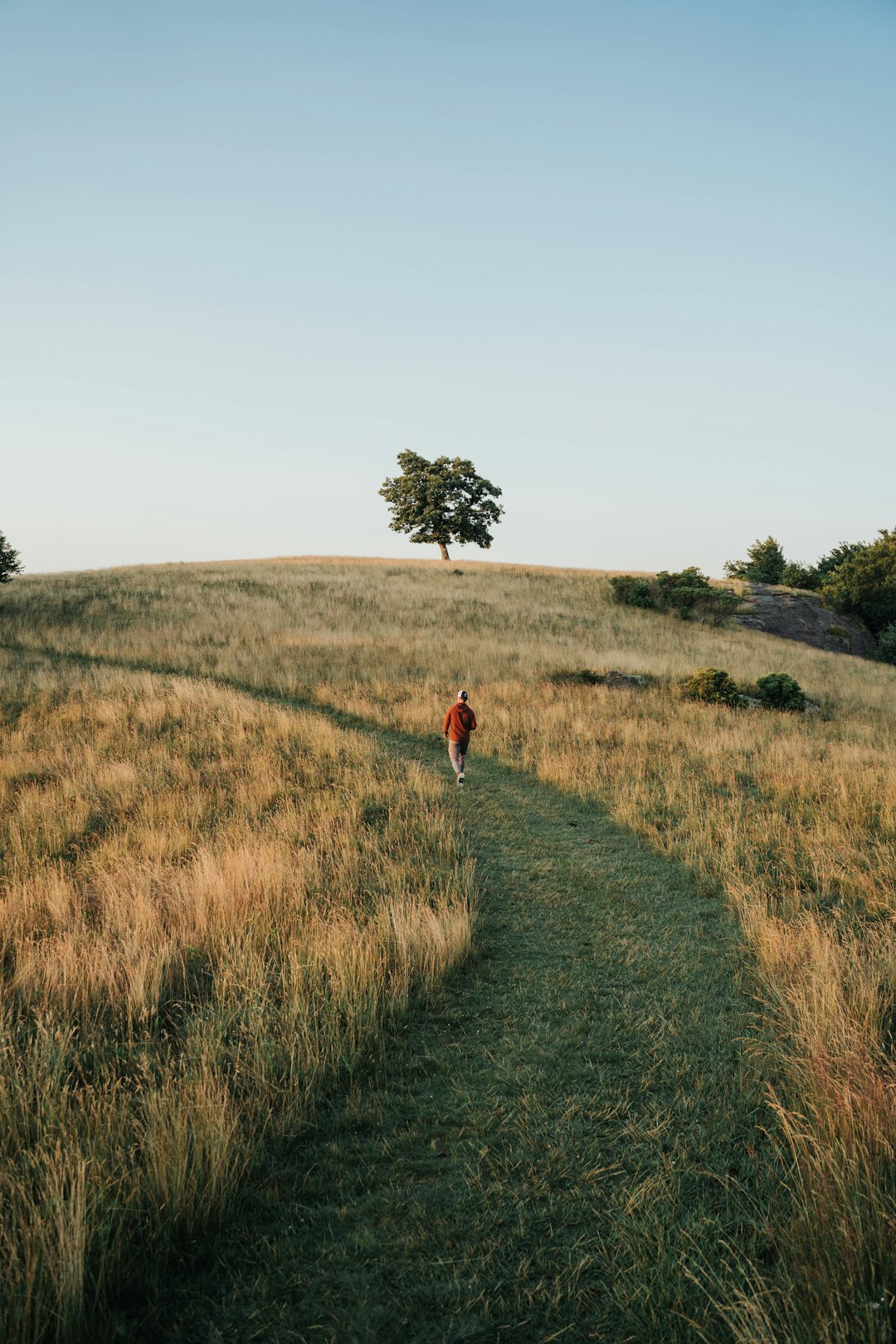 How to Navigate the Process of Selling Georgia Land for Cash