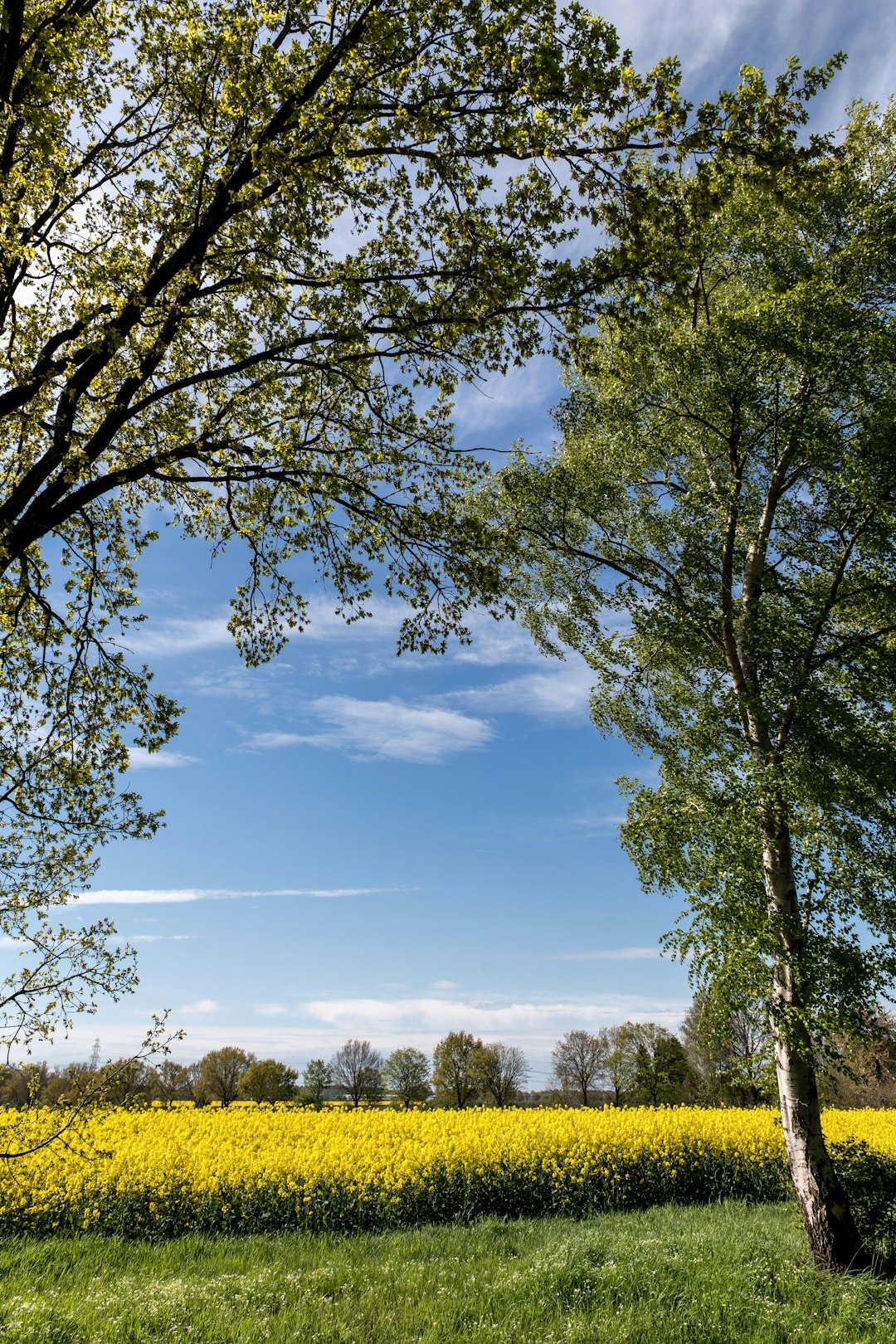 How to Navigate the Process of Selling Georgia Land for Cash