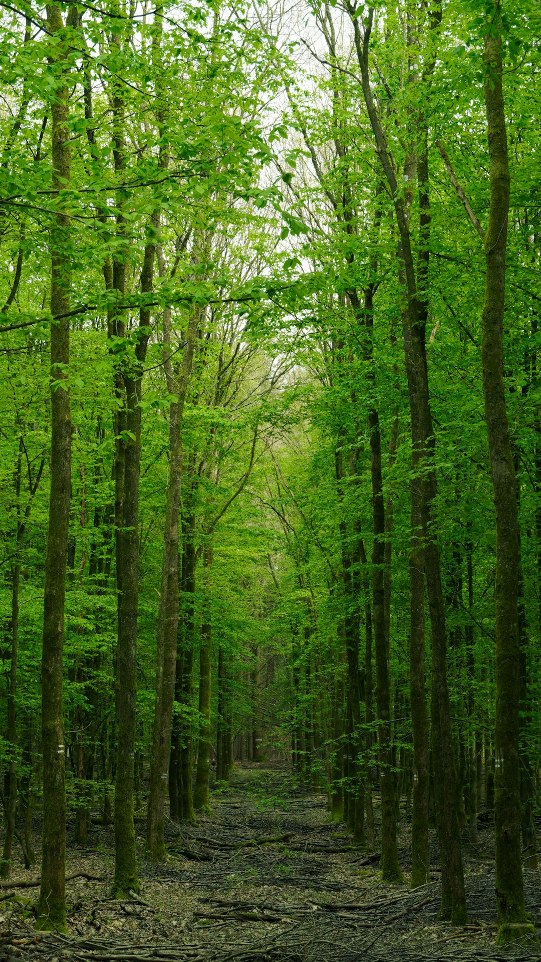 The process of selling Missouri land for money