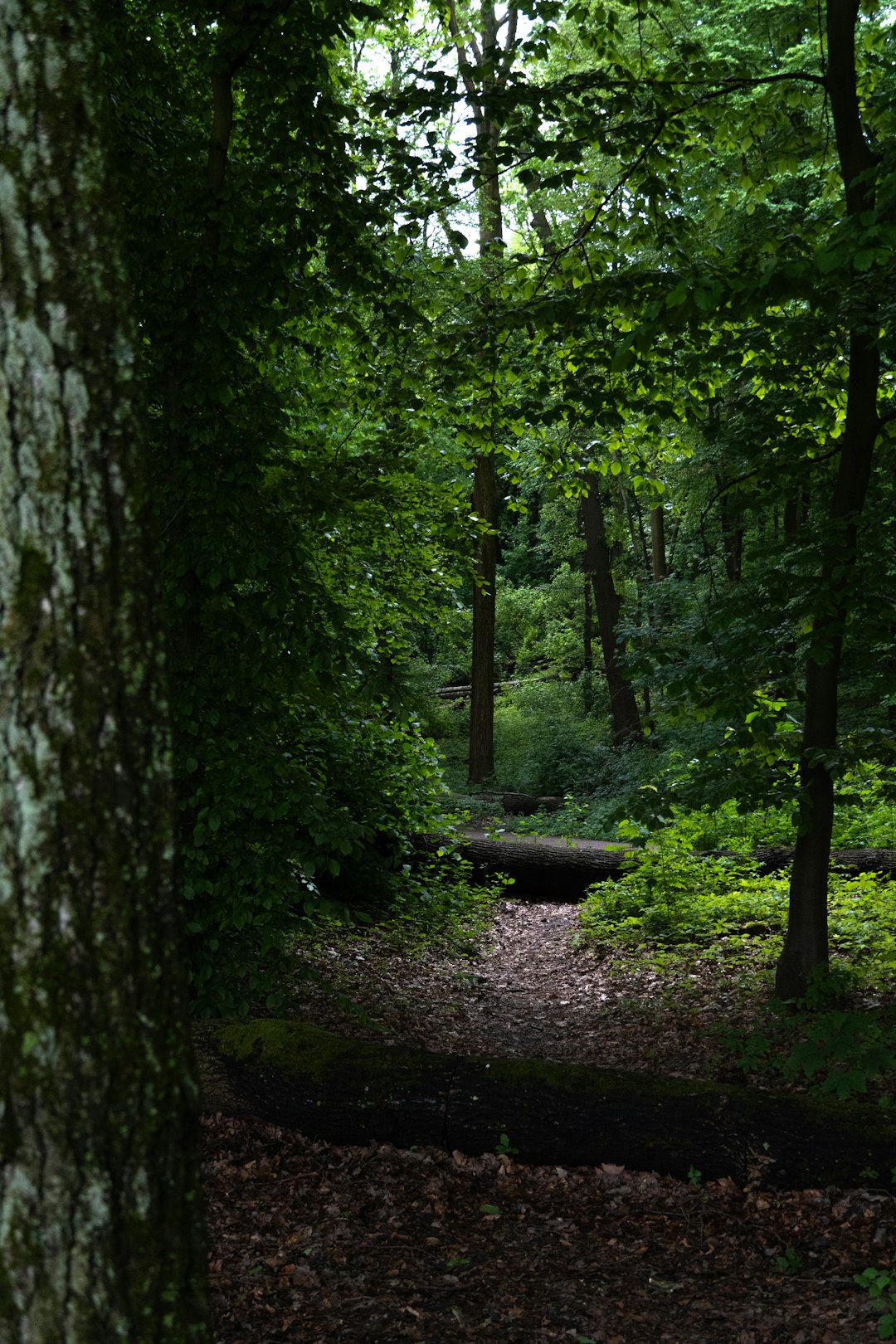 The procedure of selling Missouri land for money