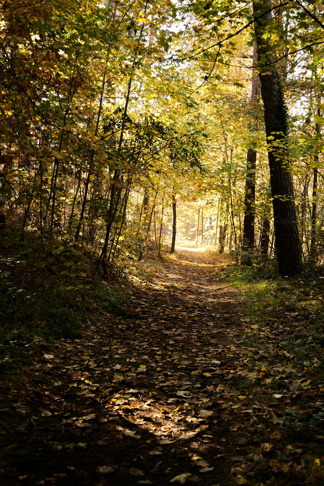 The process of offering Missouri land for cash money