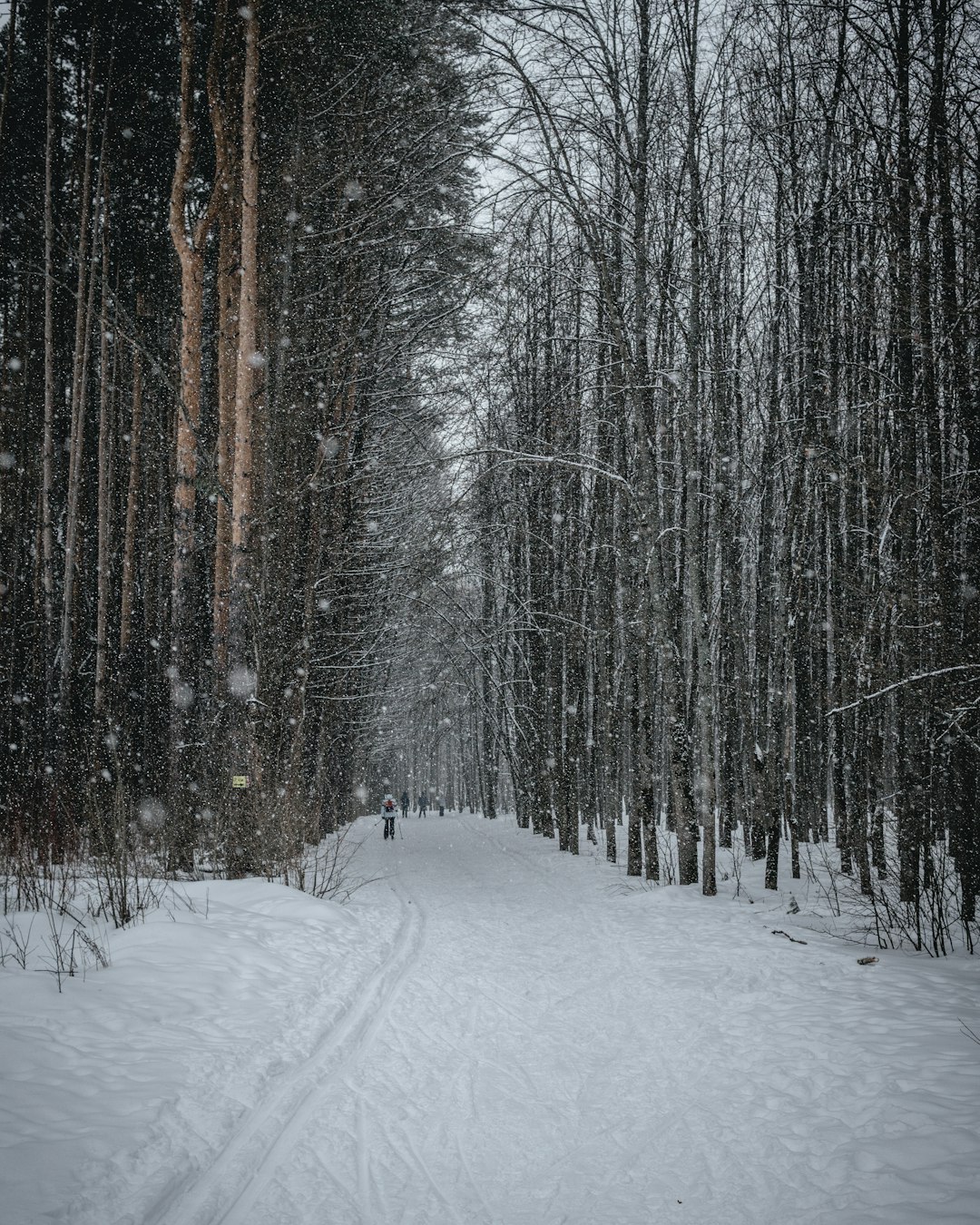 What are some pointers for taking full advantage of revenue when offering Minnesota land?